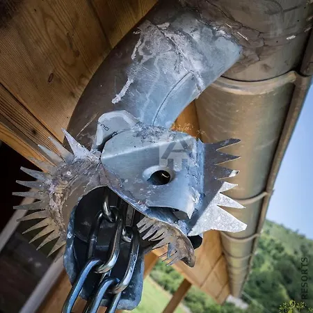 Dom wakacyjny Chalet Du Dragon